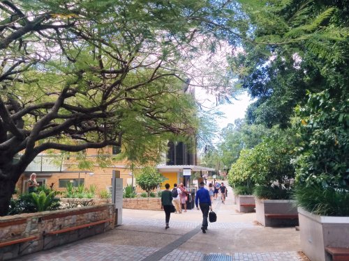 UQ St Luciaキャンパスの並木道を歩く学生