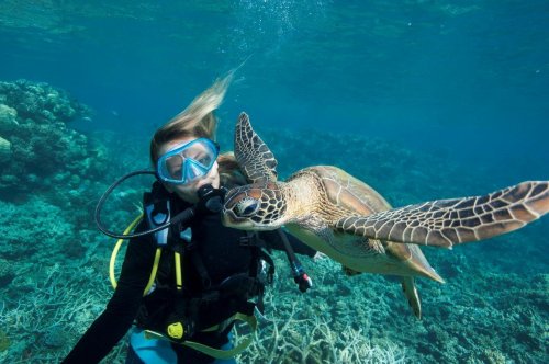 オーストラリアで学ぶ海洋学 海洋生態学