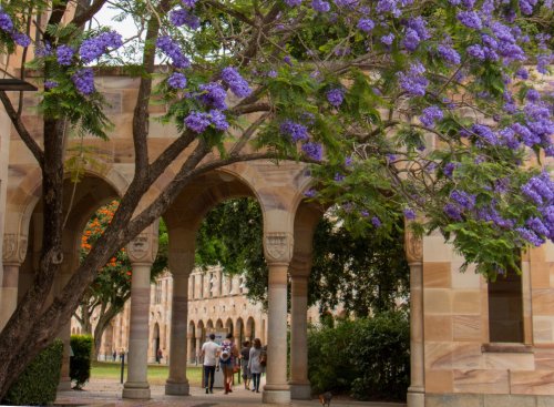 UQ St Luciaキャンパスの回廊