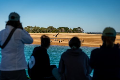 フィールドトリップで海辺を観察する学生たち