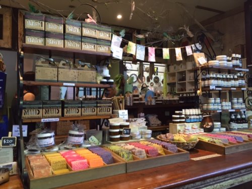 カプチーノ通りを散策 フリーマントル オーストラリア留学センター スタッフブログ