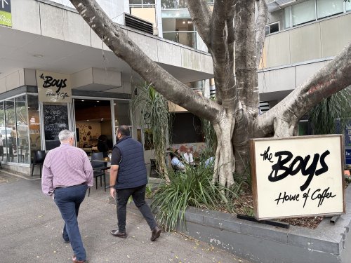 The Boys House of Coffee――ストリートアートが目を引く外観、イチジクの木が名物